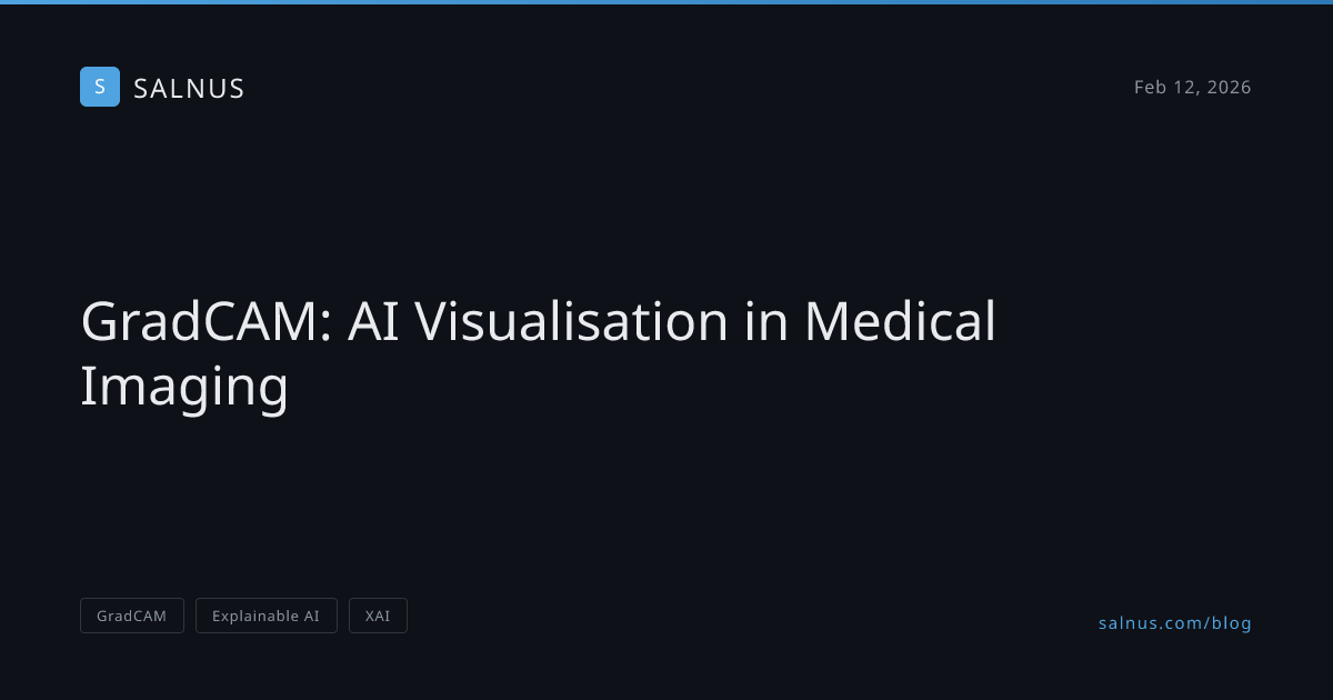 GradCAM: AI Visualisation in Medical Imaging, Salnus